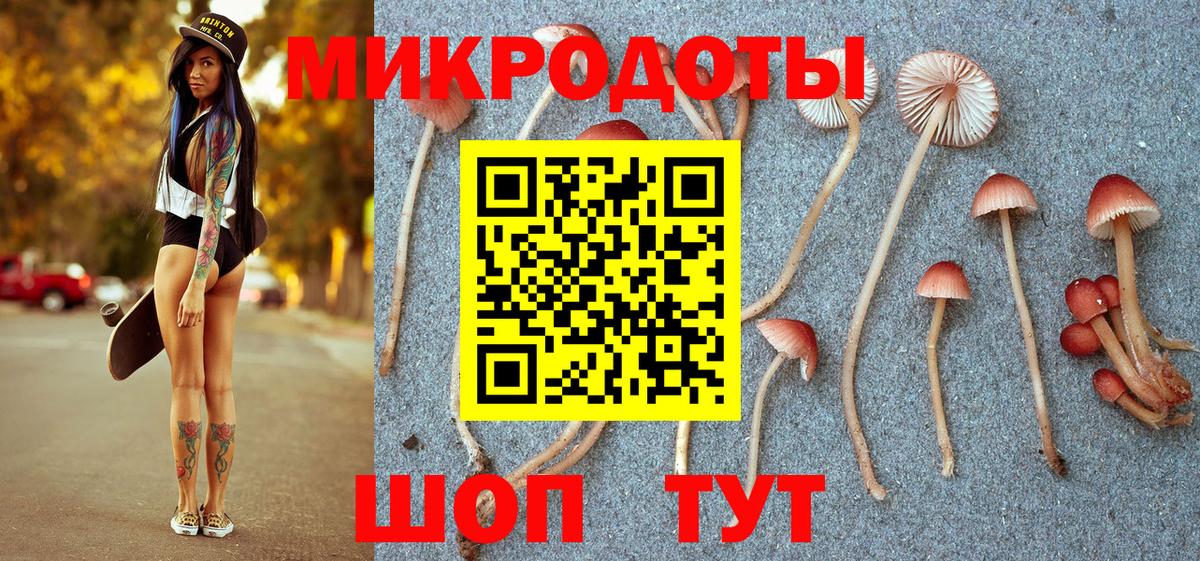 Волгодонск  Псилоцибиновые грибы ЛСД  Вход с VPN  Псилоцибиновые грибы GOLDEN TEACHER 